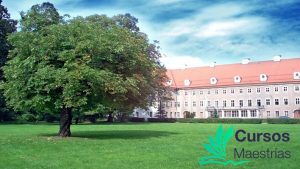 La Universidad Univa